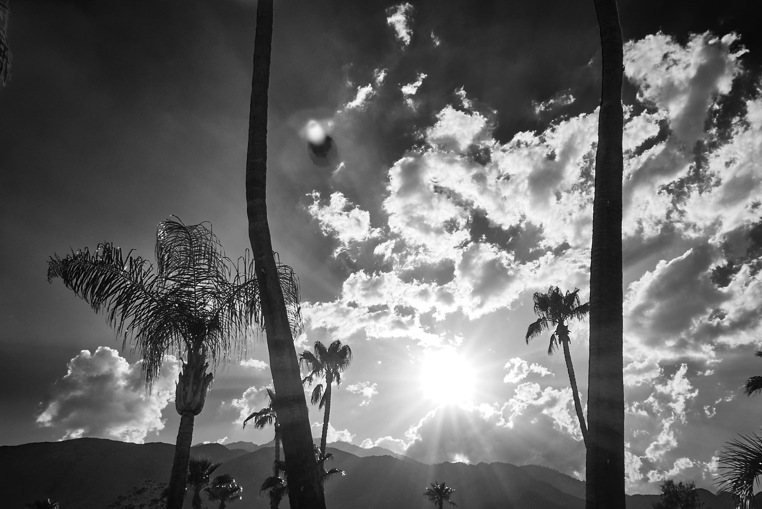 Kip Dawkins Photography